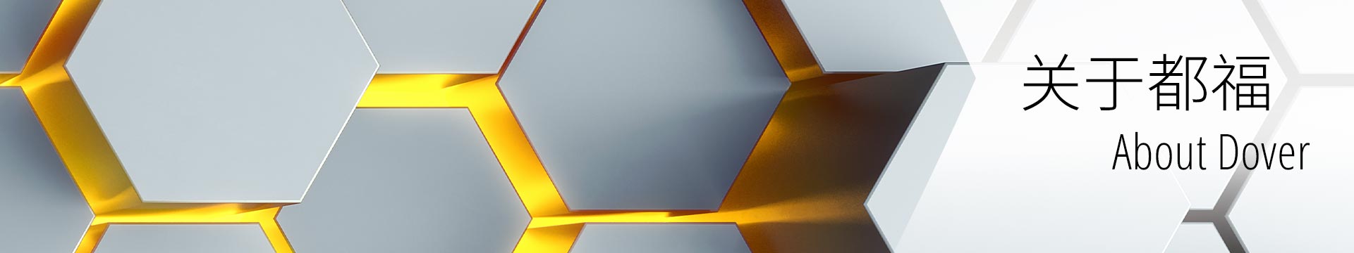 maag-group_about-dover_banner