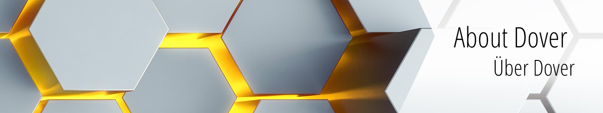 maag-group_about-dover_banner